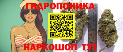 стаф Комсомольск-на-Амуре