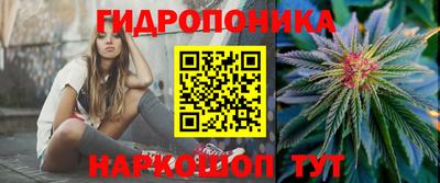 индика Конаково