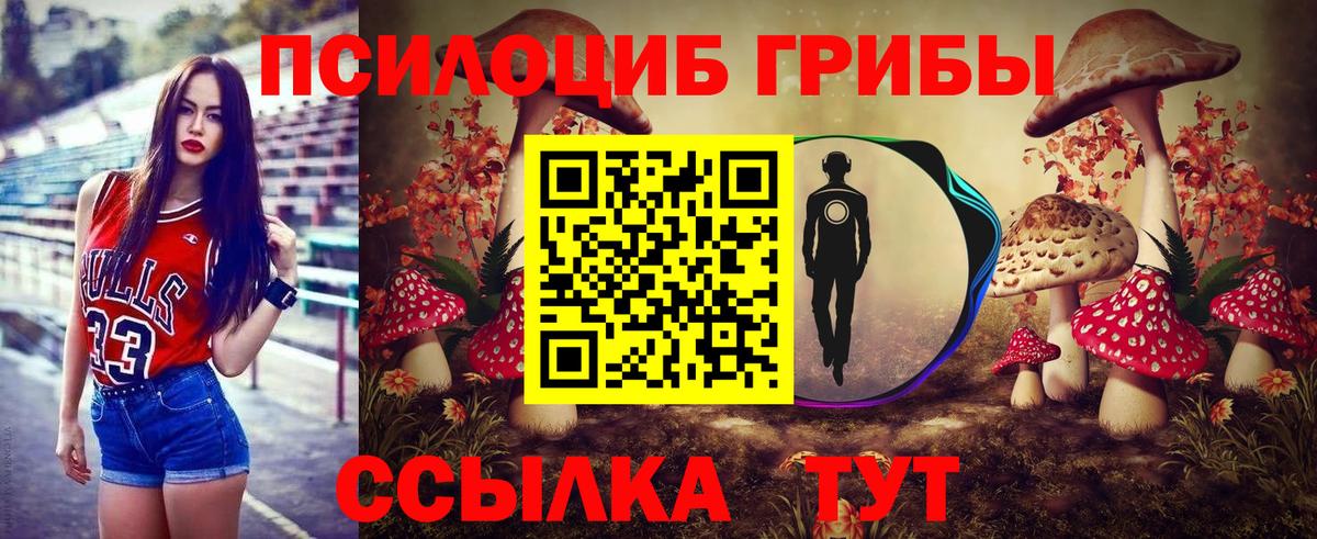 Галлюциногенные грибы прущие грибы Лесозаводск